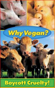 why-vegan